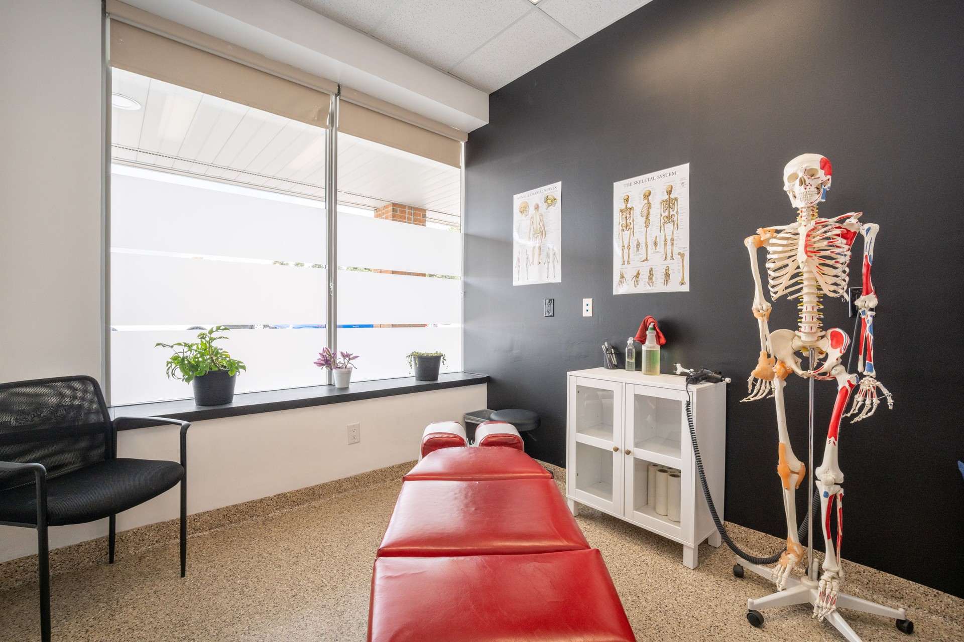 chiropractic office chiropractic office